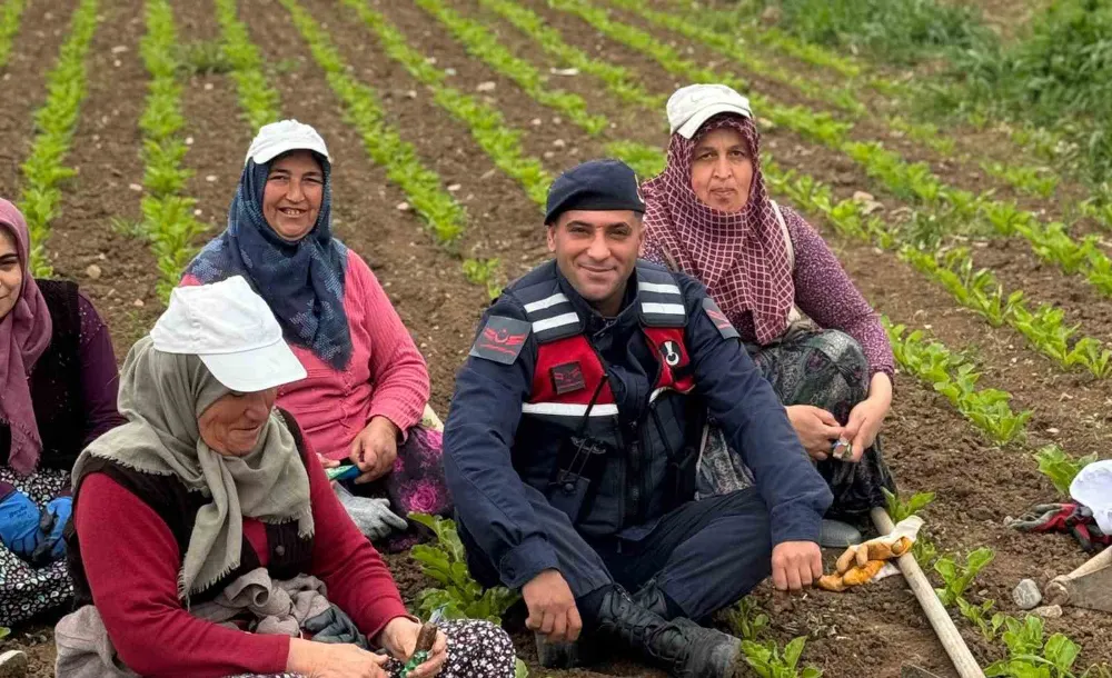 Vezirköprü Jandarması