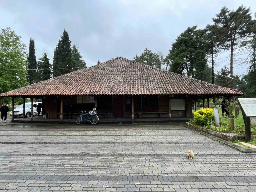Tarihi Göğceli Camii Kahverengi Kokarca İstilasında
