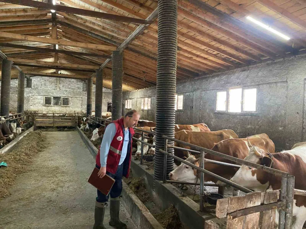 Çarşamba’da Şap Taraması Tamamlandı