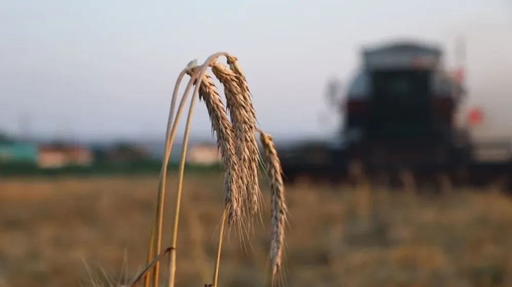 Tarım ve Orman Bakanlığı’ndan Çiftçiye 5 Milyar Liralık Dev Destek