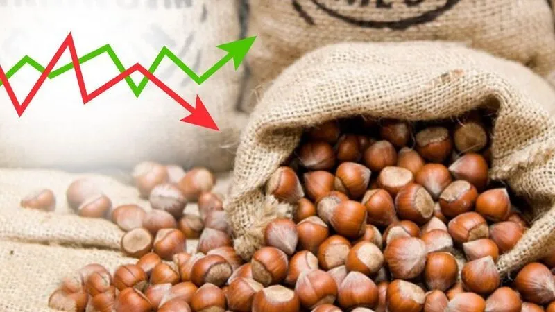 20 Mayıs 2025 Güncel Fındık Fiyatları: İl İl Son Durum