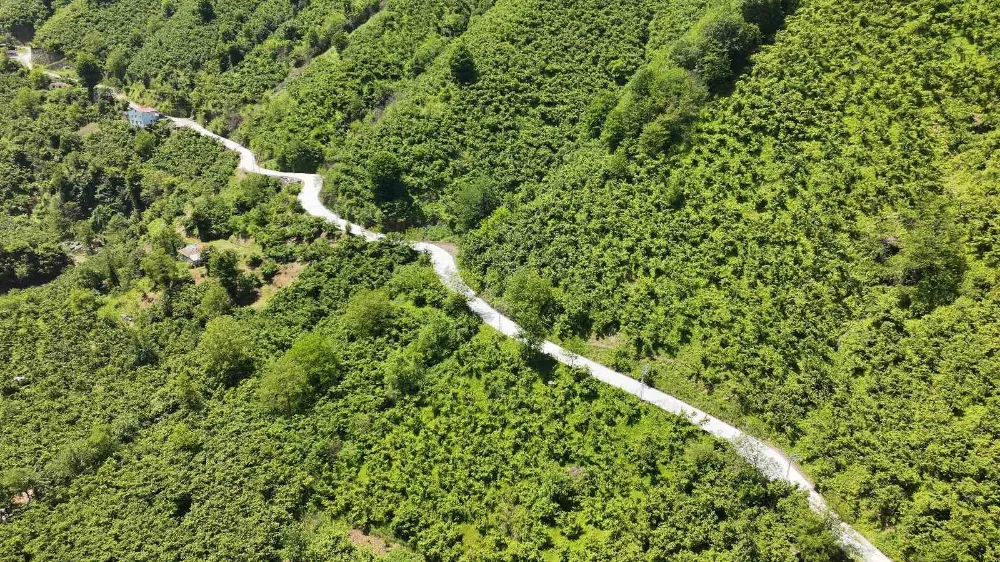 Terme Belediyesi’nden 1 Kilometrelik Beton Yol Müjdesi
