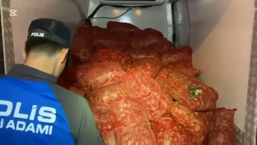 Samsun’da 2.9 ton kaçak midye yakalandı