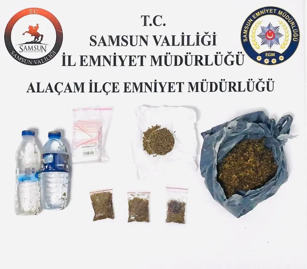 Samsun Alaçam