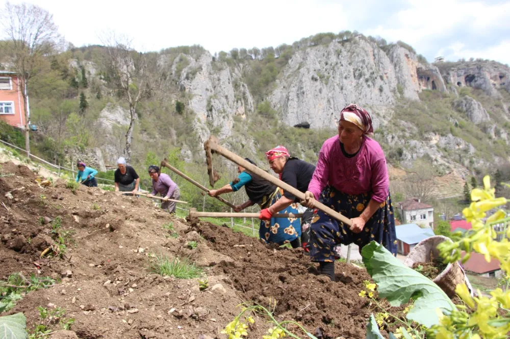 Doğu Karadeniz