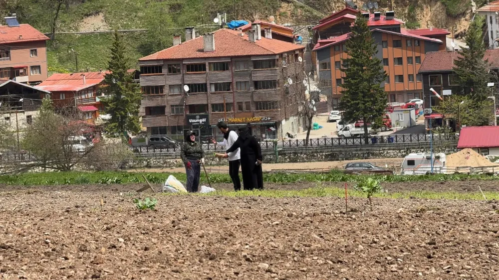 Arap Turistler Uzungöl