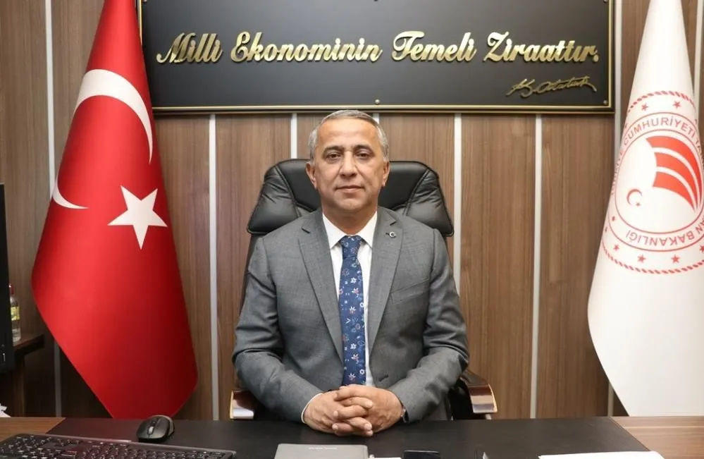 Samsun