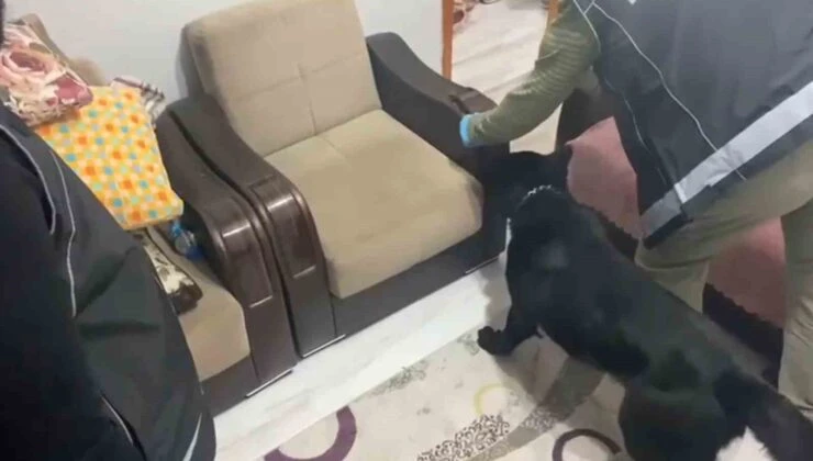 Narkotik Köpeği Tony Koltukta Gizlenen Metamfetamini Yakaladı