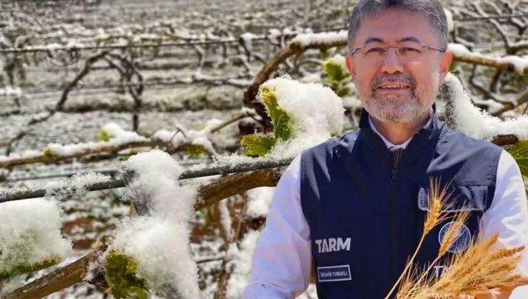 Zirai don hangi ürünleri vurdu? Bakan Yumaklı 