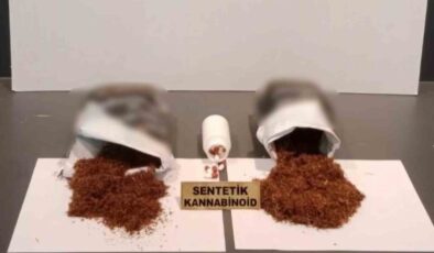 Samsun’da Bonzai ve Afyon Sakızı Ele Geçirildi