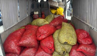 Samsun’da Kaçak Midye Operasyonu