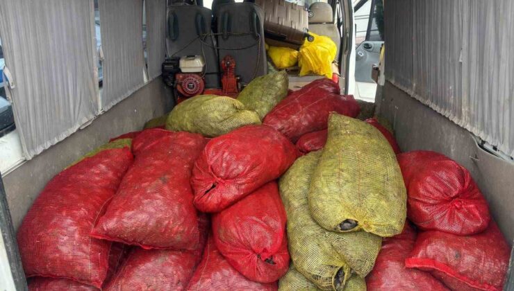 Samsun’da Kaçak Midye Operasyonu