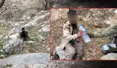 Pençe-Kilit bölgesinde 5 PKK’lı terörist teslim oldu