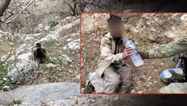 Pençe-Kilit bölgesinde 5 PKK’lı terörist teslim oldu