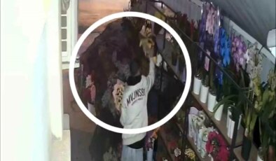 Samsun’da Çiçekçiyi Soyan Hırsızlar Güvenlik Kamerasında