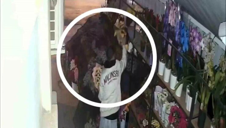 Samsun’da Çiçekçiyi Soyan Hırsızlar Güvenlik Kamerasında