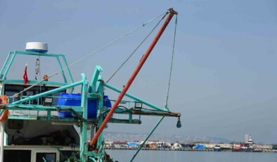 Karadeniz’de Çaça Bereketi: Balıkçılar Sezonu Rekor Avla Kapatıyor