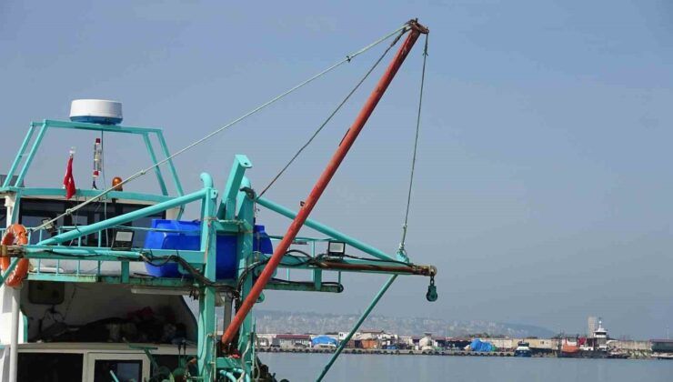 Karadeniz’de Çaça Bereketi: Balıkçılar Sezonu Rekor Avla Kapatıyor