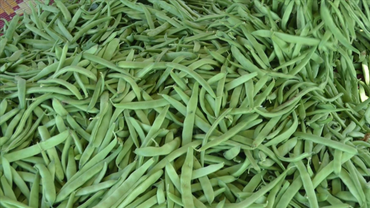 Şubat Ayının Zam Şampiyonu Taze Fasülye