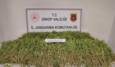 Tarlasında Kenevir Bulunan Şahıstan Komik Savunma