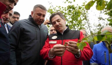 Ahmet Bağcı: Samsun’da Çiftçinin Zararı Karşılanacak