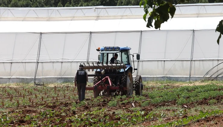 İbrahim Yumaklı: Çiftçilere 50 Milyon Avro Destek