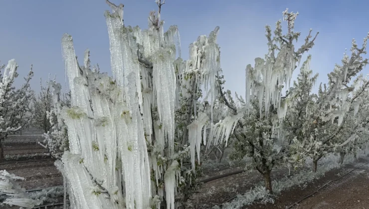 Zirai Don’dan Korunmanın Yolları