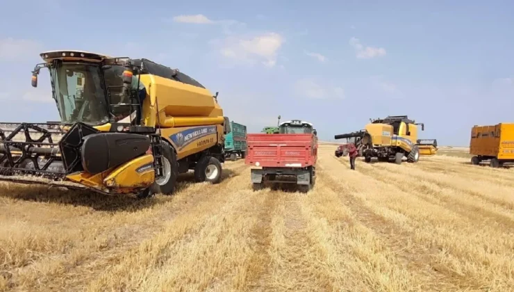 Çiftçilere 5,9 Milyar TL Destekleme Ödemesi Hesaplara Yattı