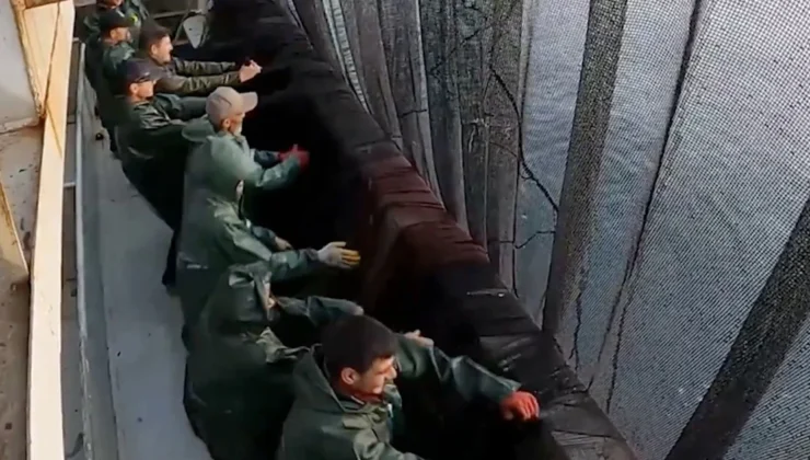 Balıkçılık Av Sezonu Sona Erdi: Hamsi ve Palamut Yüz Güldürdü