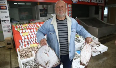 Karadeniz’de balık sezonu bereketli geçti
