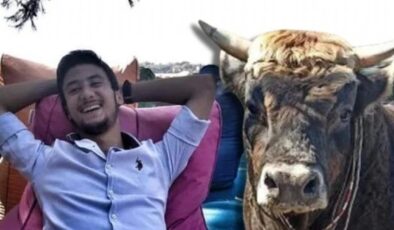 Güreş boğası can aldı!