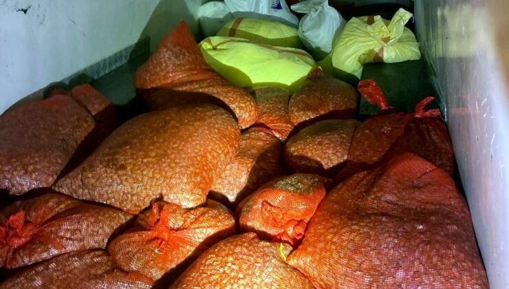 Kaçak avlanan 1,3 ton midye ele geçirildi