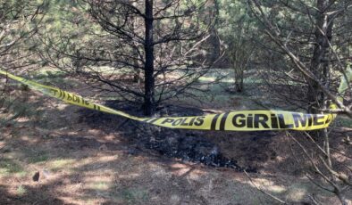 Kan donduran cinayet!