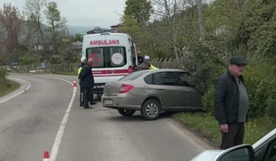 Ordu’da Sokak Köpekleri Kazaya Neden Oldu: 2 Kişi Yaralandı