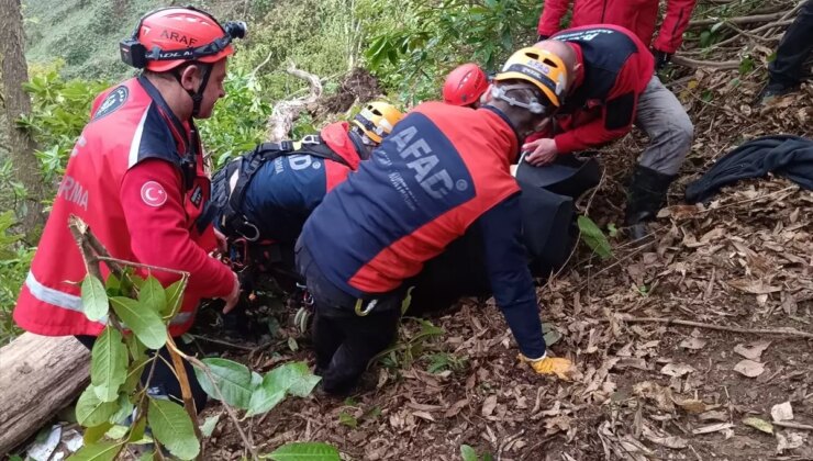 Rize’de Ağaç Kesimi Faciası: Muhtar Öldü