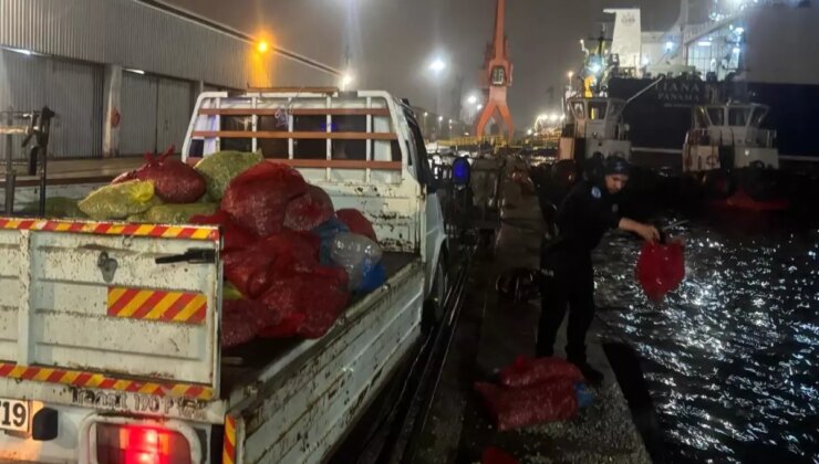 Samsun’da Yine Kaçak Midye Operasyonu: 2 Ton Kum Şırlanı Yakalandı
