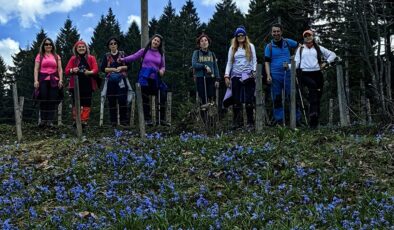 Trabzon’da mor çiçeklerin açtığı yaylaya yürüyüş