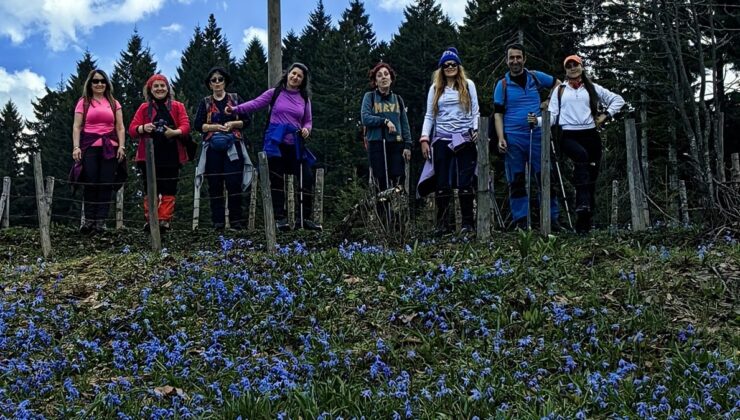Trabzon’da mor çiçeklerin açtığı yaylaya yürüyüş