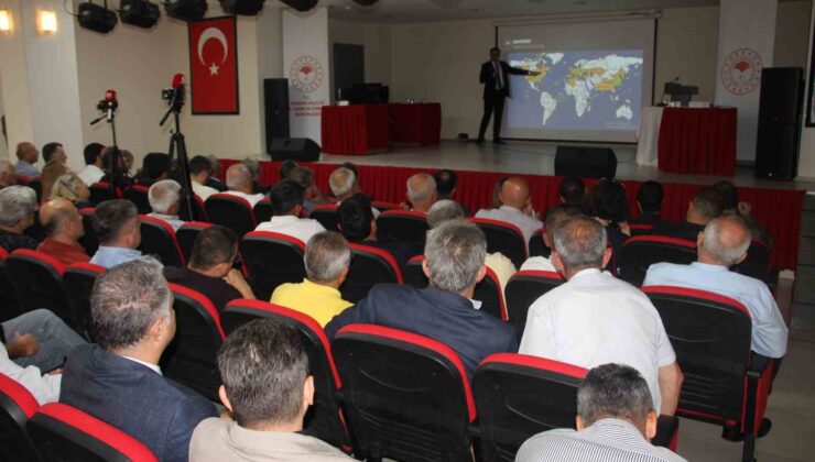 Samsun’da Kahverengi Kokarca Mücadelesi: Hedef 1 Milyon Samuray Arısı
