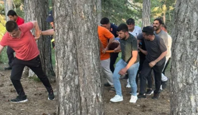 Tarsus’ta Kekik Toplarken Uçurumdan Düşen Kadın Yaralandı