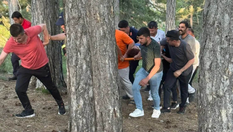 Tarsus’ta Kekik Toplarken Uçurumdan Düşen Kadın Yaralandı