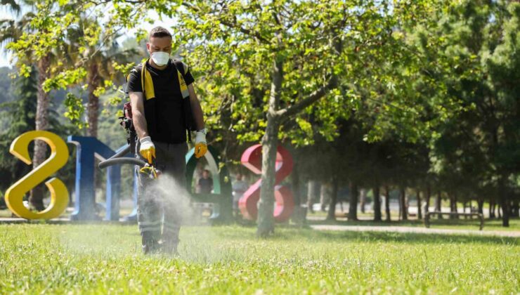 Samsunda Kene İlaçlaması Başladı: Parklar Güvende