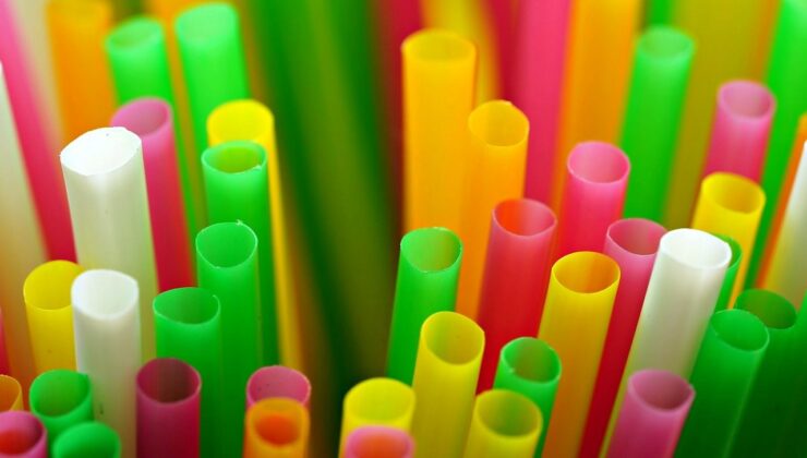 Bakteriler plastikten ağrı kesici üretti