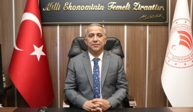 Kahverengi kokarcaya karşı ilaçlama zamanı