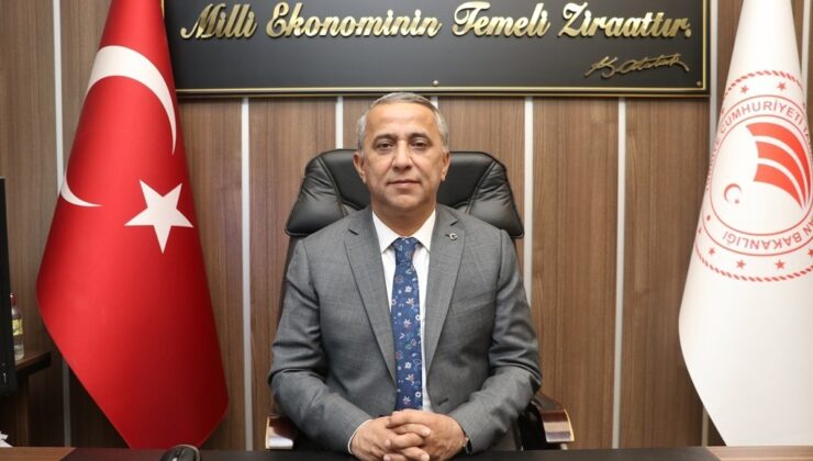 Kahverengi kokarcaya karşı ilaçlama zamanı