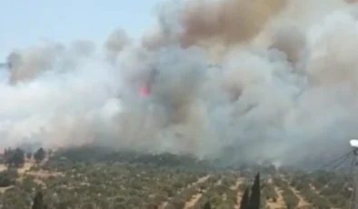 Foça’da Büyük Yangın: Havadan ve Karadan Müdahale Başladı!