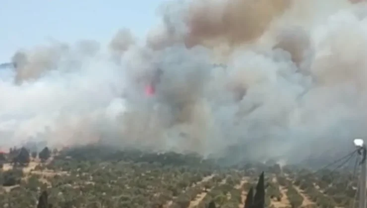 Foça’da Büyük Yangın: Havadan ve Karadan Müdahale Başladı!