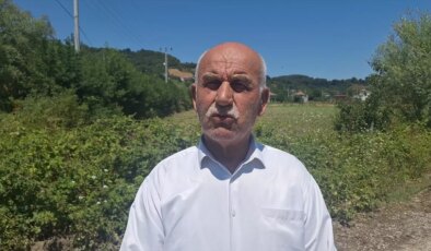 Bafra’da Su Taşkını Tarım Arazilerine Zarar Verdi