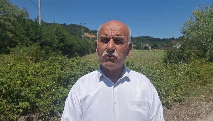 Bafra’da Su Taşkını Tarım Arazilerine Zarar Verdi