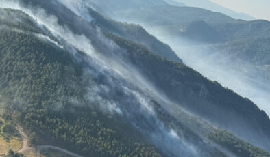 Balıkesir’deki orman yangınına müdahale sürüyor